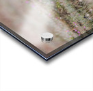 Red Fox Kit Acrylic print