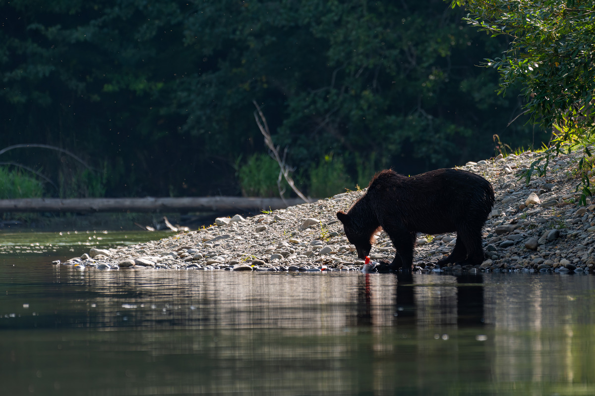 Impression de cadre personnalisé