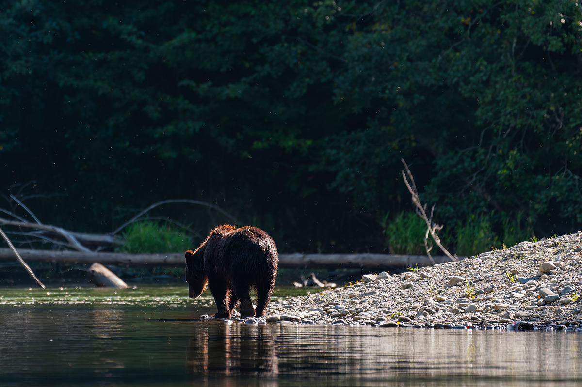 Impression de cadre personnalisé
