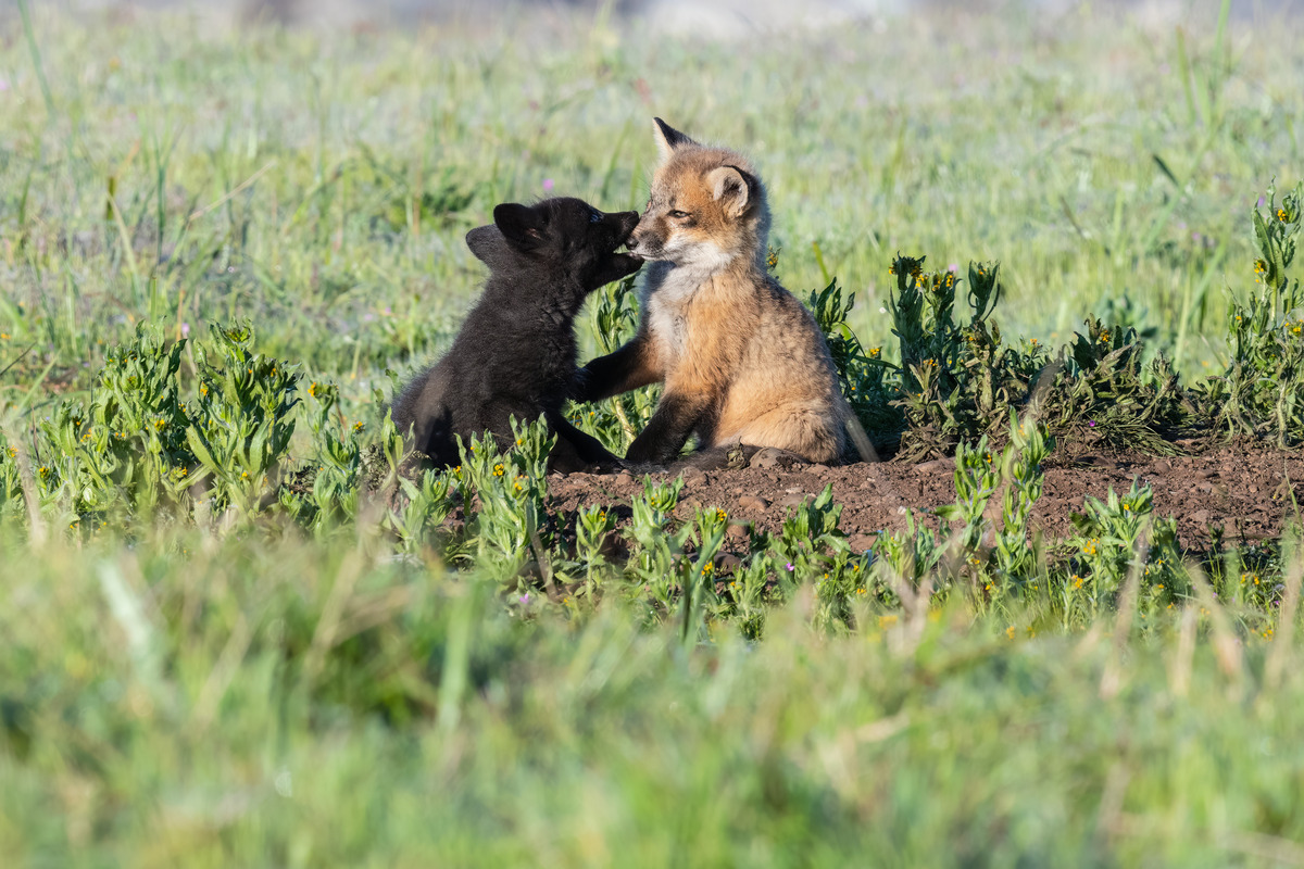 Impression de cadre personnalisé