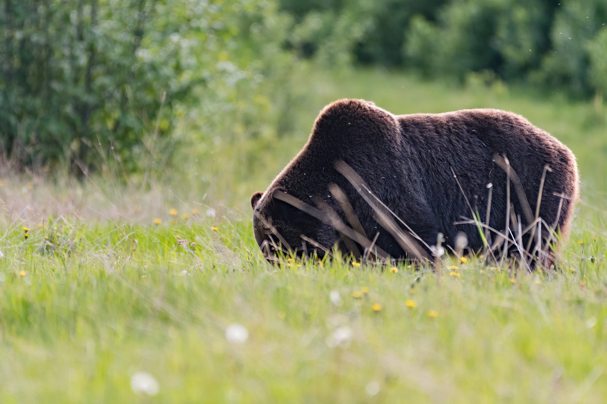 Impression de cadre personnalisé