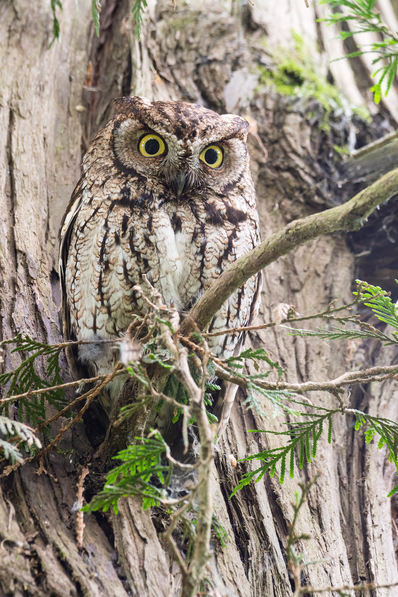 Impression de cadre personnalisé