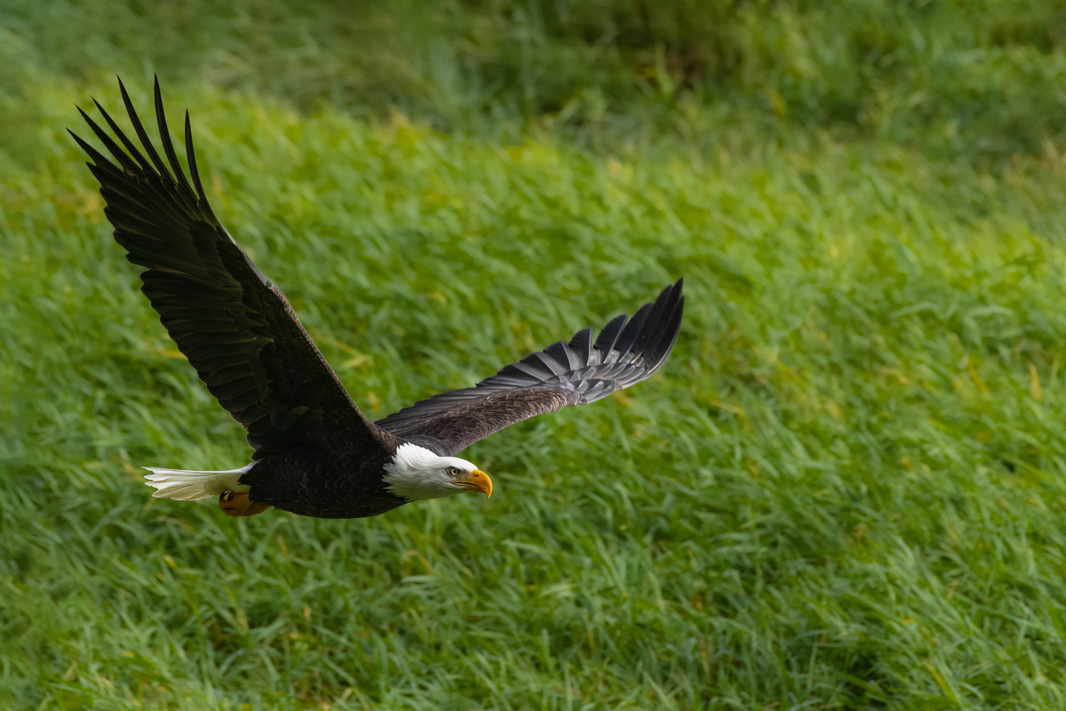 Impression de cadre personnalisé