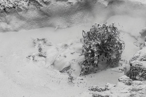 Thermal Mud Eruption