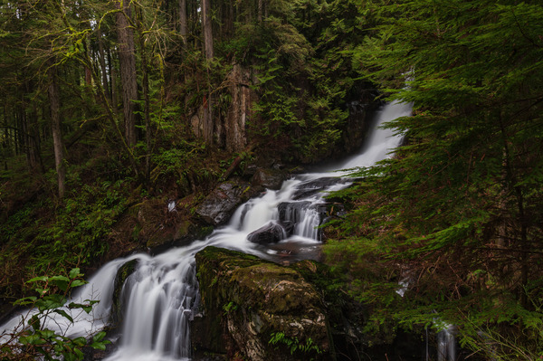 Forest Waterfall Print