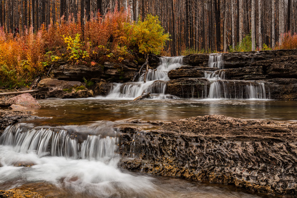 Mountain Stream Print