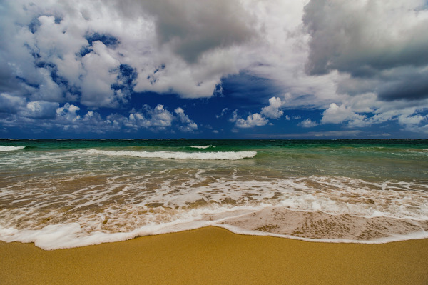 Tropical Shoreline Print