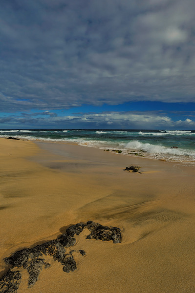 Tropical Shoreline Print