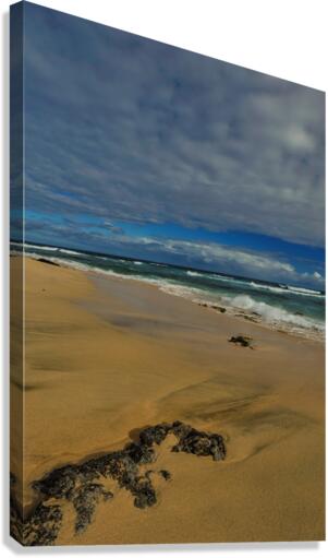 Tropical Shoreline Canvas Print