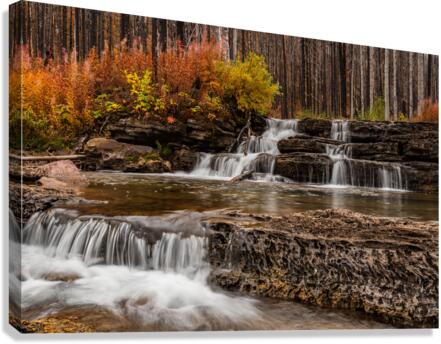 Mountain Stream Canvas Print