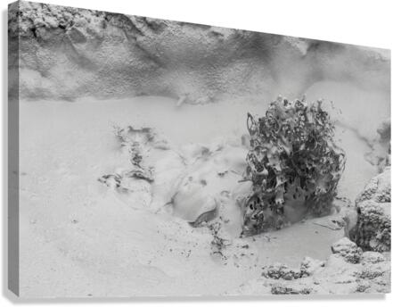 Thermal Mud Eruption Canvas Print