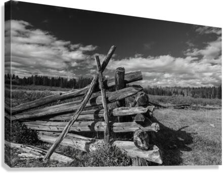 Old Fences Canvas Print