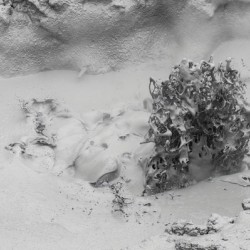 Thermal Mud Eruption