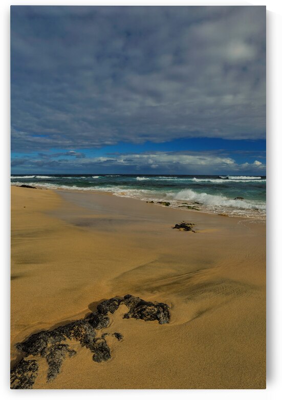 Tropical Shoreline by Randy Tremblay Photography