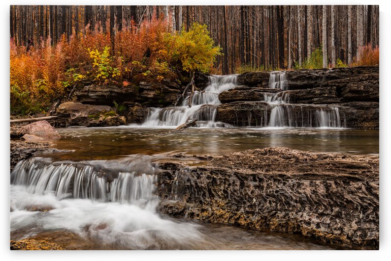 Mountain Stream by Randy Tremblay Photography