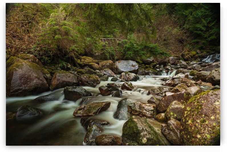 Forest Stream by Randy Tremblay Photography