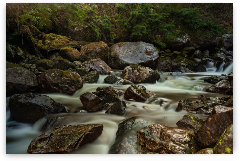 Forest Stream by Randy Tremblay Photography