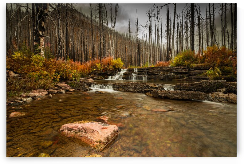 Mountain Stream by Randy Tremblay Photography