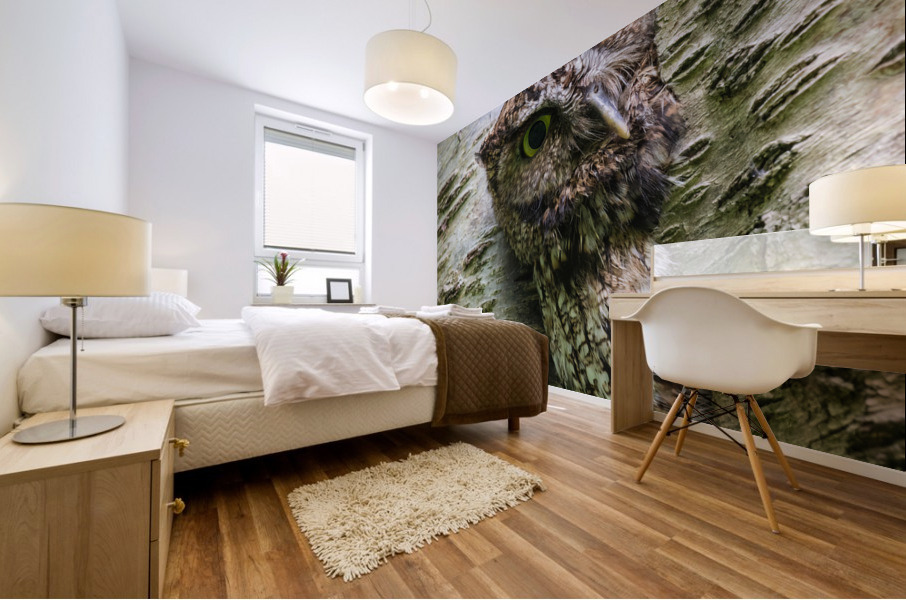 Western Screech Owl Mural print