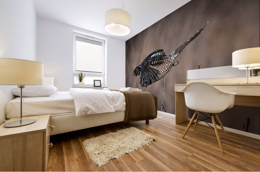 Northern Hawk Owl Mural print