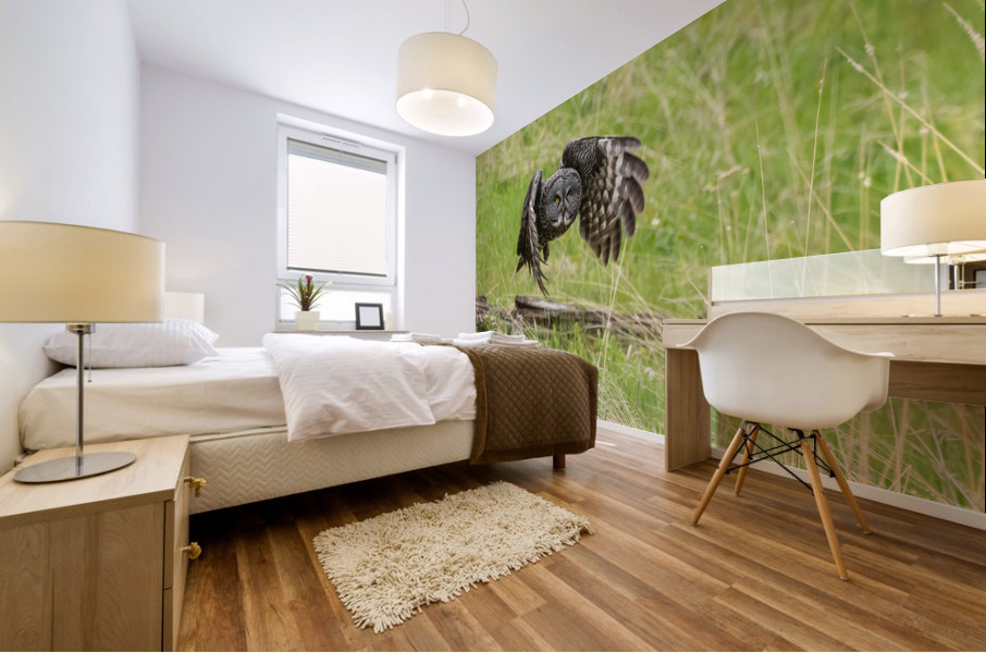 Great Gray Owl Mural print