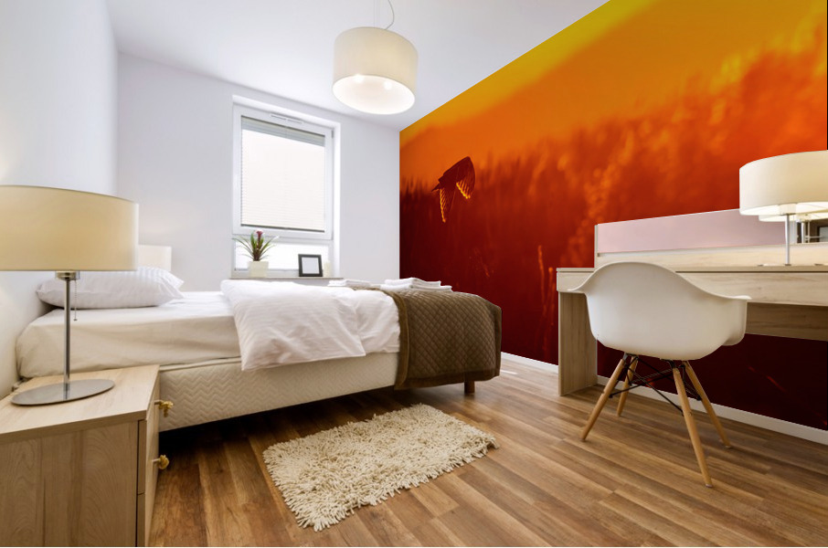 Short-eared Owl Mural print