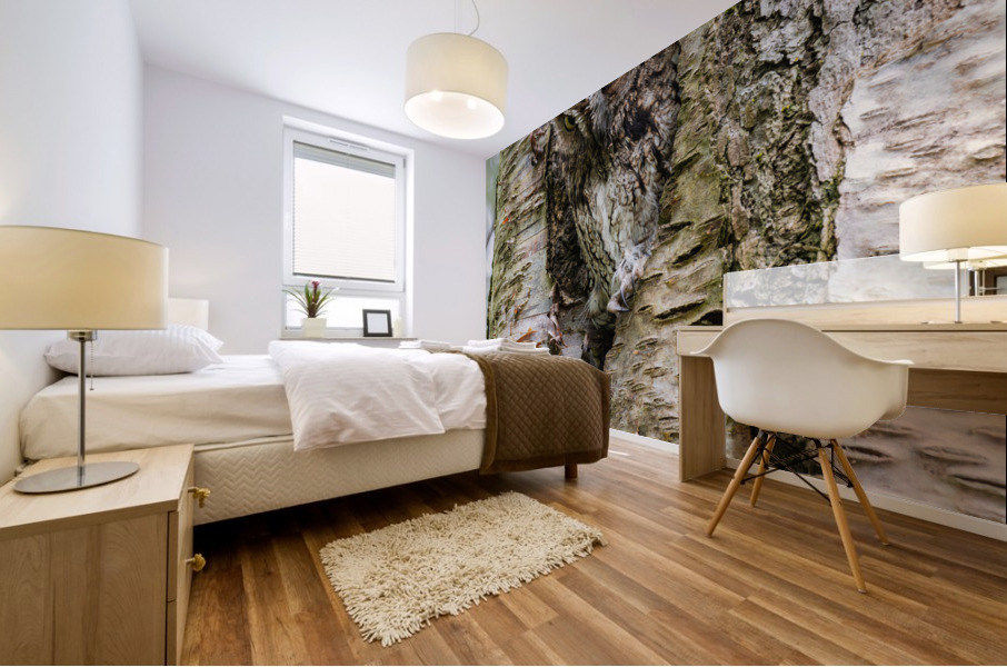 Western Screech Owl Mural print