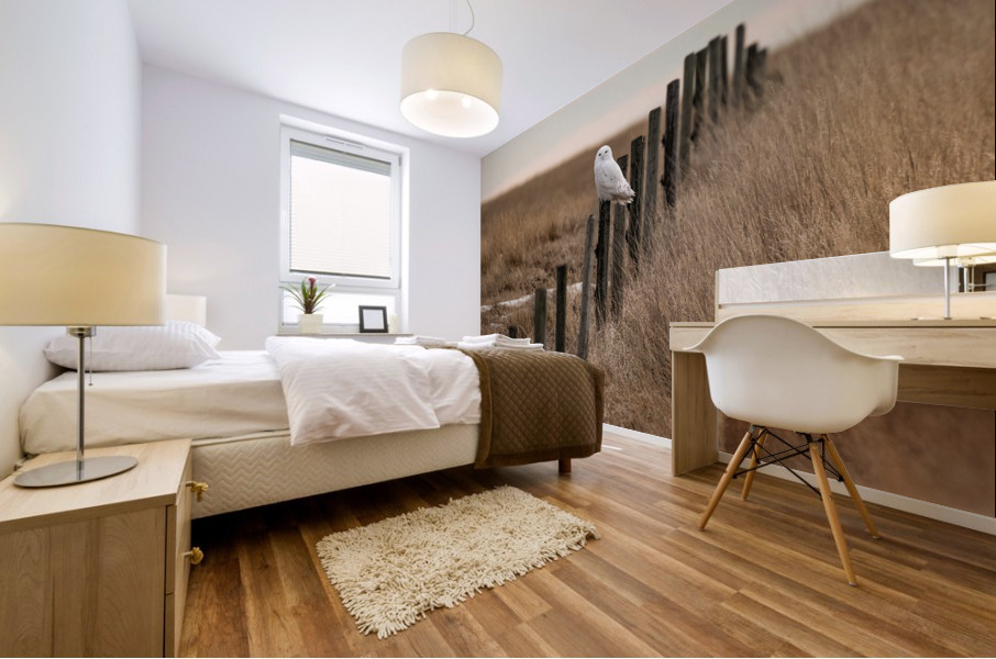 Snowy Owl Mural print