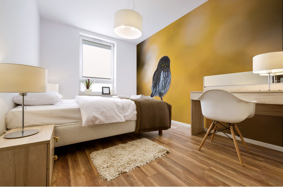 Northern Pygmy Owl Mural print