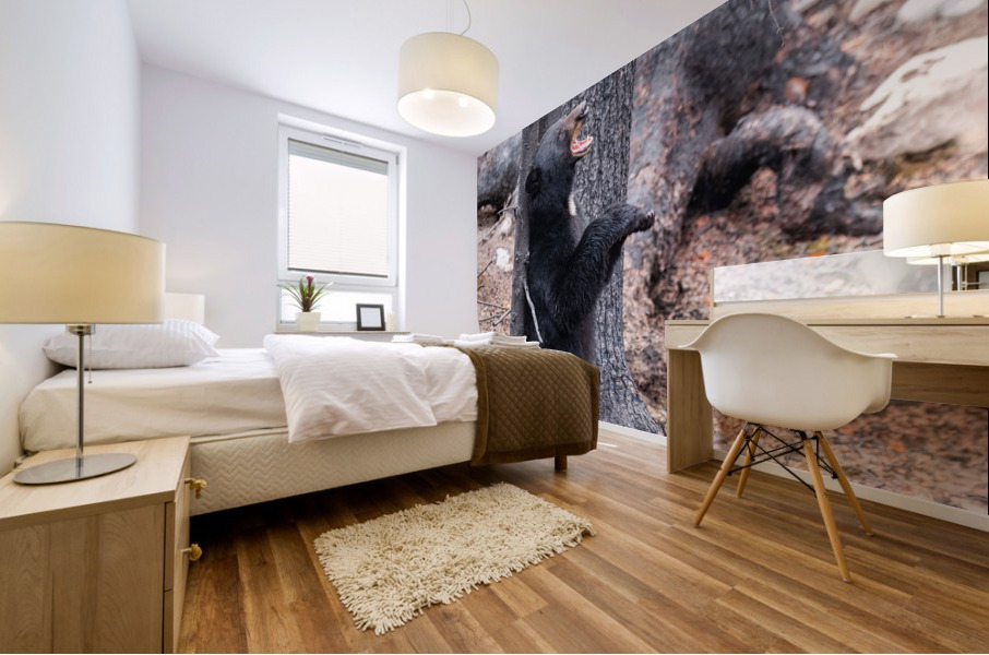 Black Bear Mural print