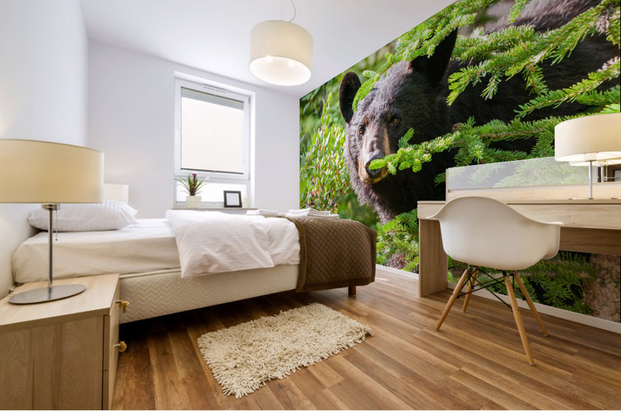 Black Bear Mural print