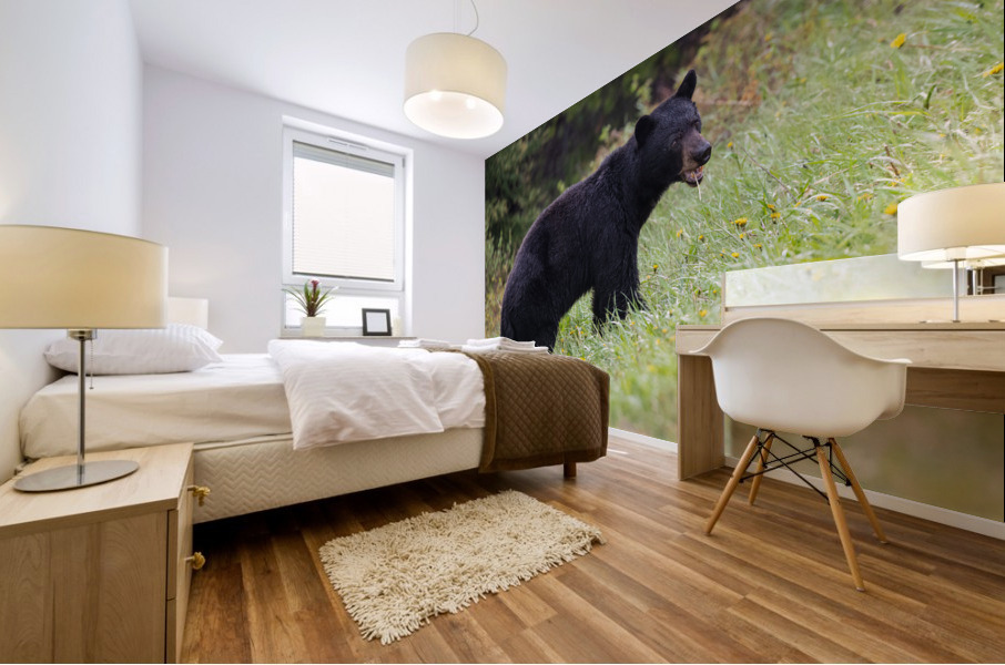 Black Bear Mural print
