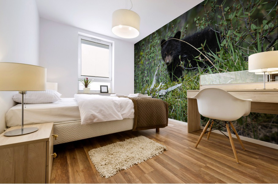 Black Bear Cub Mural print