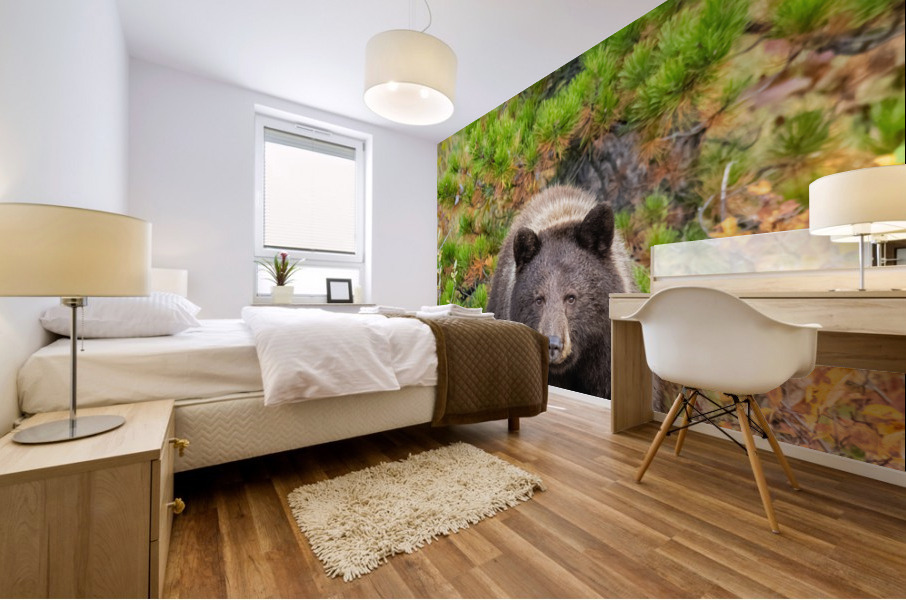 Black Bear Mural print