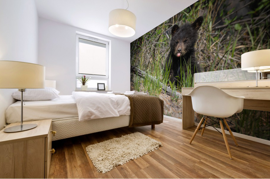 Black Bear Cub Mural print
