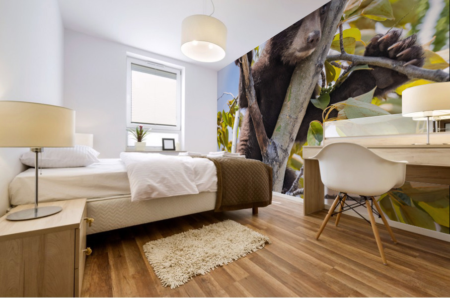 Black Bear Cub Mural print