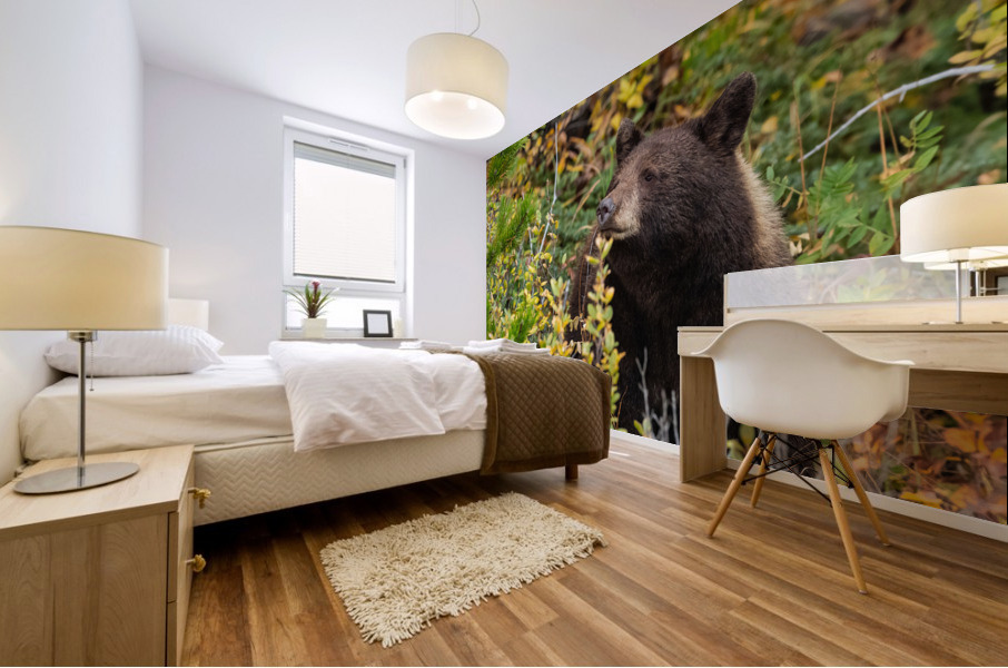 Black Bear Mural print