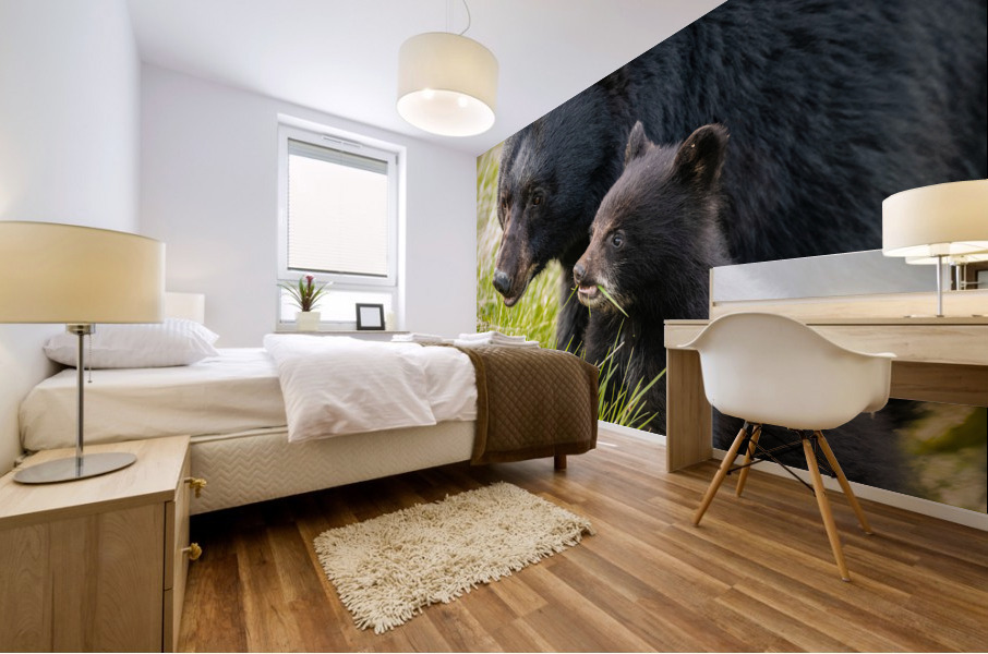 Black Bear Sow with Cub Mural print