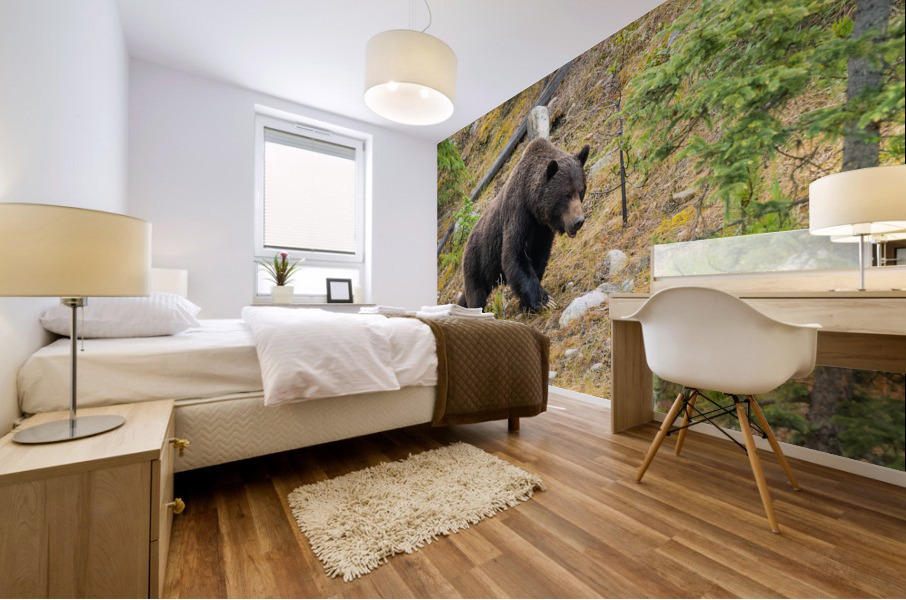 Grizzly Boar Mural print