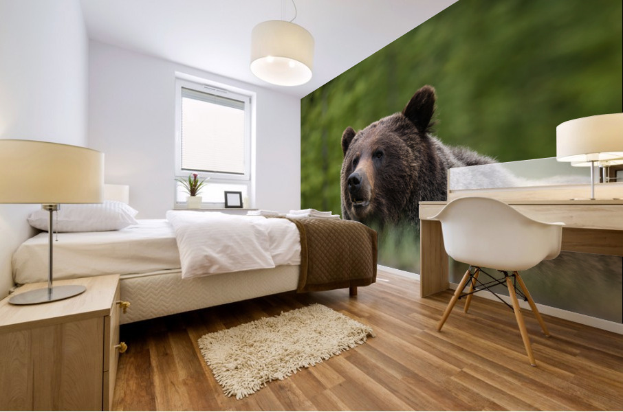 Grizzly Boar Mural print
