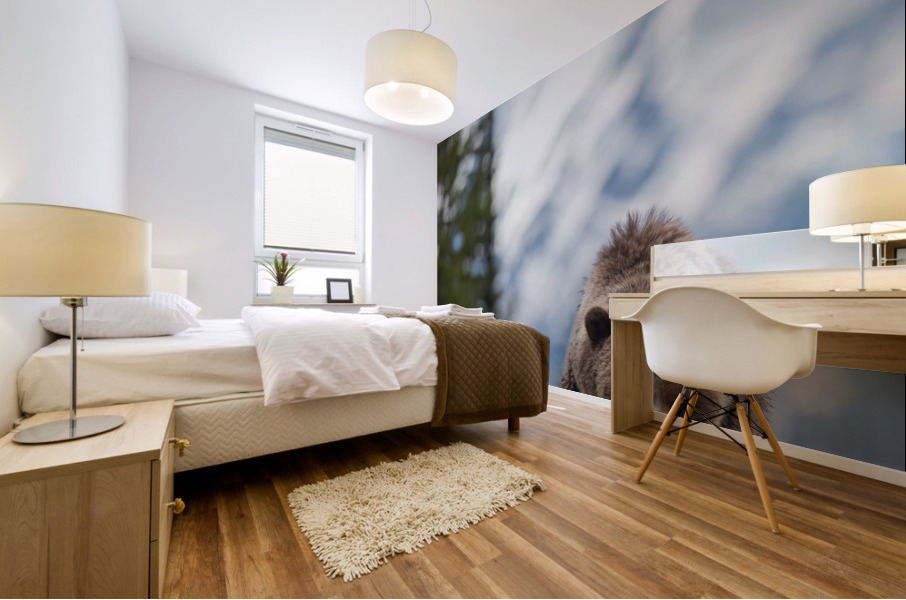 Grizzly Boar Mural print