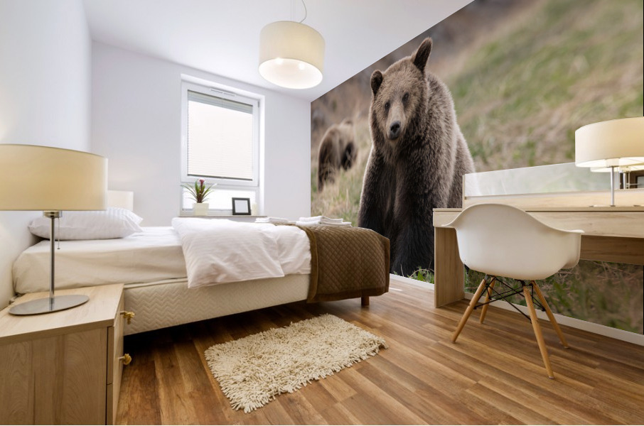 Grizzly Siblings Mural print