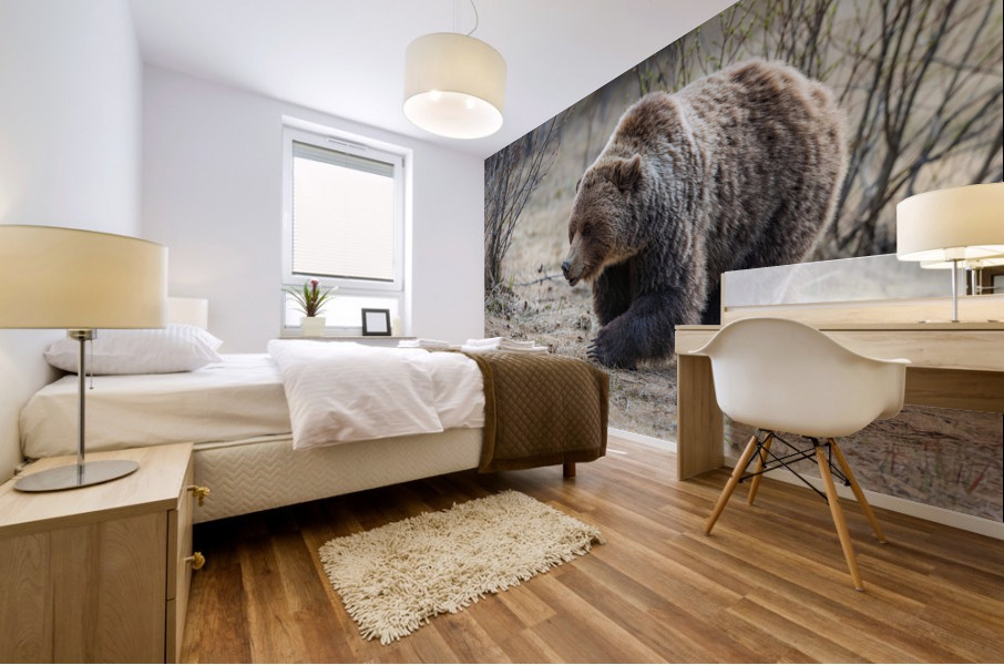 Grizzly Boar Mural print