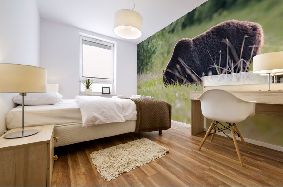 Grizzly Boar Mural print