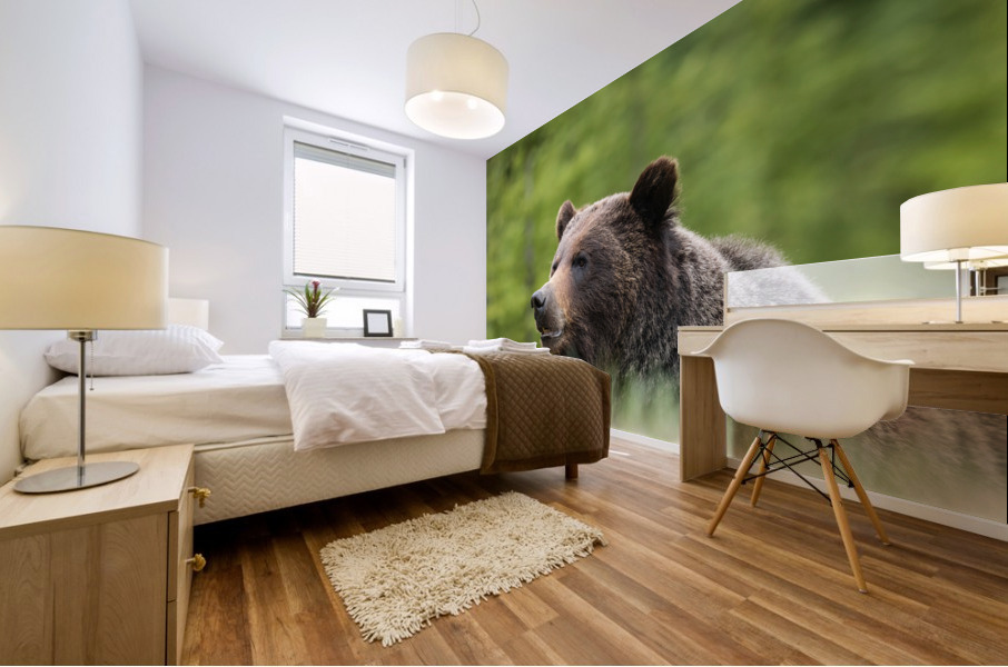 Grizzly Boar Mural print