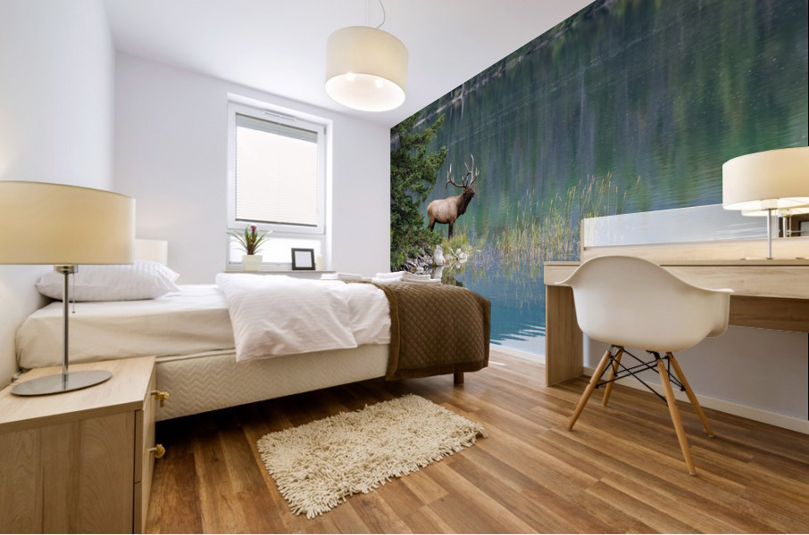 Bull Elk Mural print