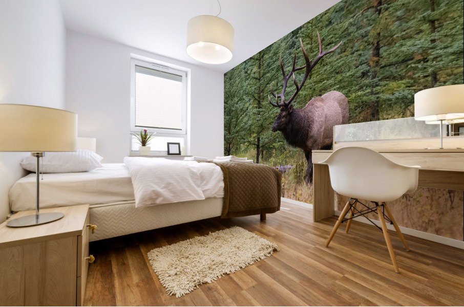 Bull Elk Mural print
