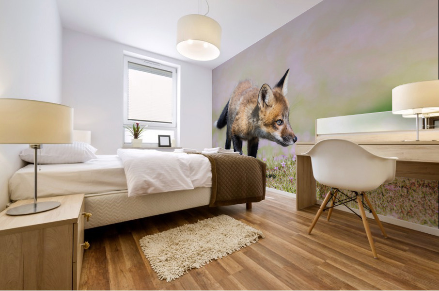 Red Fox Kit Mural print