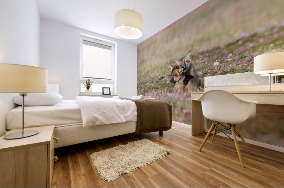 Red Fox Kits Mural print