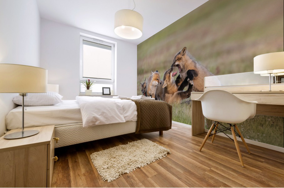 Red Fox Kits Mural print